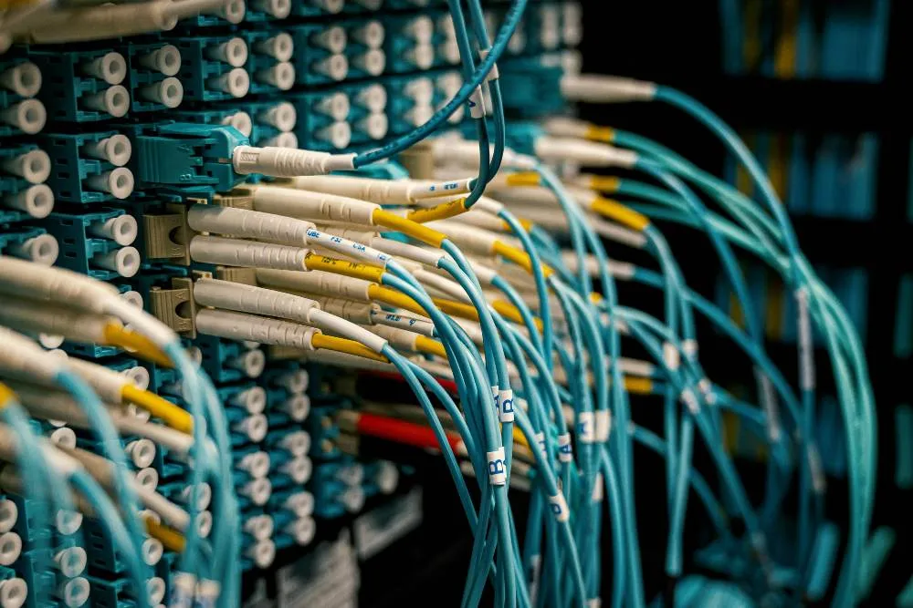Cableado y Redes